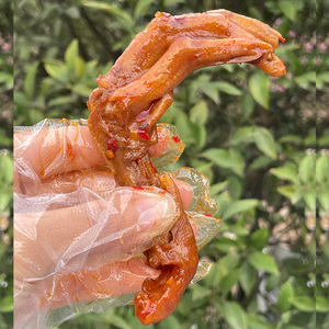 002人付款淘宝休闲零食卤味熟食小吃衢州龙游特产三头一掌香辣兔头4个