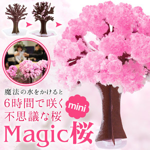 日本樱花树 魔法结晶圣诞树 怀念小时候单纯纸上开花科学观察玩具