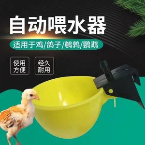 家禽自动饮水器雏鸡鸽子饮水碗鸡鸭鹅养殖设备喂水笼子挂式饮水碗