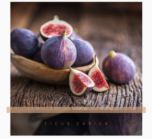 【无花果日本紫果】无花果日本紫果品牌,价格 - 阿里巴巴