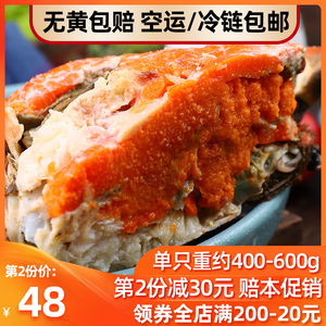 面包蟹 即食黄金蟹珍宝蟹 梭子蟹海蟹母熟冻鲜活海鲜水产超大螃蟹