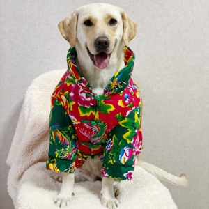 宠物手工定制狗狗衣服新年东北花棉袄加厚冬装大型犬棉服拉布拉多