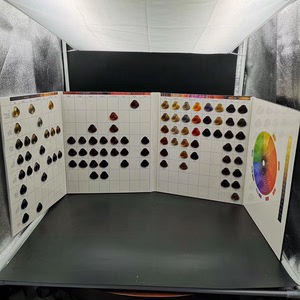 施华蔻伊采色板