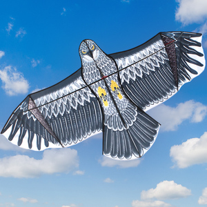 潍坊老鹰风筝大人专用网红大号草原鹰飞线轮高档新型高质量特大