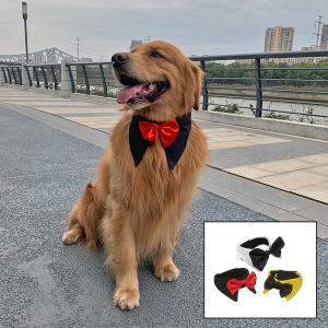 狗狗领结蝴蝶结西装领花领带宠物饰品中大型犬柯基金毛大狗绅士