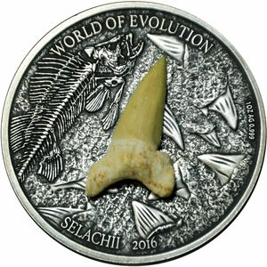 【鲨鱼牙银】鲨鱼牙银品牌,价格 - 阿里巴巴