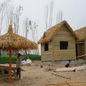 茅草屋草棚木屋