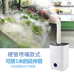 工业家用超声波大雾加湿器摆摊烧烤火锅店花卉植物除甲醛净化空气