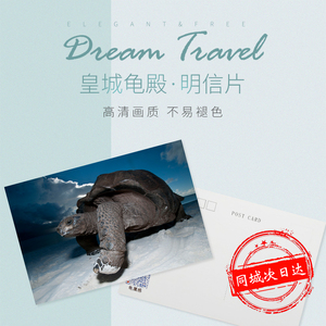 乌龟陆龟海龟水龟半水龟明信片宠物龟卡片巴西龟图片特色贺卡包邮