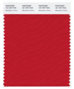 pantone潘通色卡棉布卡tcx单张cotton系列2310个单张颜色任选