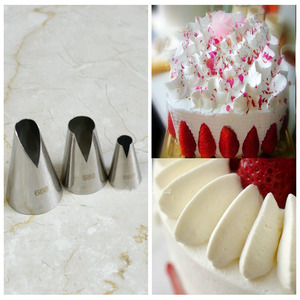 圣安娜花嘴小号