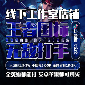 线下工作室王者送荣耀代练巅峰赛代打国服大小国标省标金牌小魔方