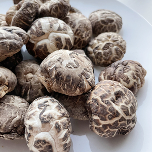 随州农家小花菇干货500g菌类食用家用湖北特产精品椴树干冬蘑菇