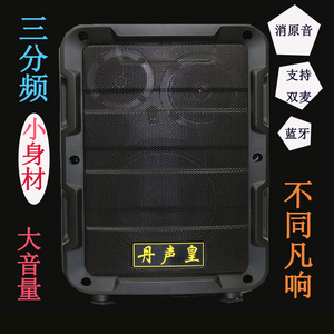 丹声皇手提音响A150背带便携式蓝牙三分频插卡高端演唱广场舞音箱