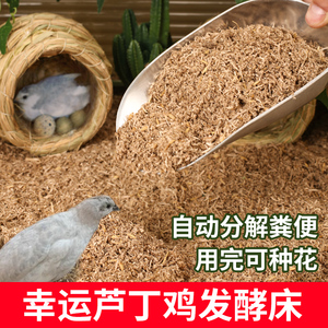 芦丁鸡核桃砂沙垫料发酵床饲养箱专用生物除臭宠物鹌鹑柯尔鸭小鸡