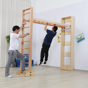 攀爬健身家用室内儿童训练立柱云梯器材肋木运动感统体适能大梯架
