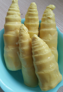 2份起拍海南新鲜野刺笋 鲜竹笋 四季蔬菜 农家菜 下饭菜250克散装