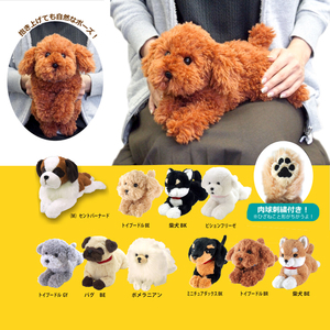 日本代购 正版sunlemon 泰迪犬 贵宾秋田柴犬 公仔毛绒玩具玩偶狗