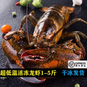 波士顿龙虾生冻大龙虾速冻波龙特大5斤冰鲜澳洲澳龙青龙海鲜sf邮