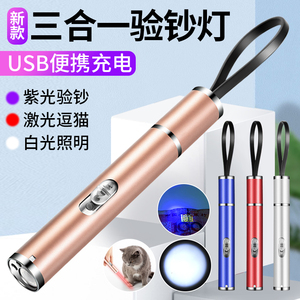 USB迷你小手电筒红激光笔售楼395紫光验钞白光照明教鞭教学宠物笔