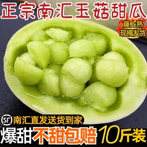 上海南汇玉菇甜瓜当季新鲜水果整箱10斤白雪密瓜青皮绿肉特产现摘