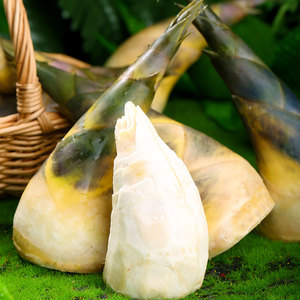 2022新品新鲜马蹄笋竹笋绿笋甜笋嫩笋尖时令4斤福建现挖带壳绿竹