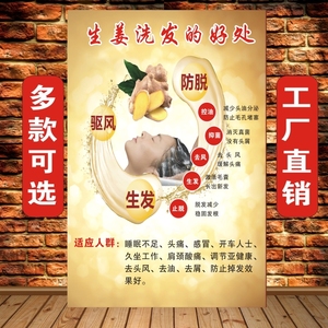 生姜洗发的好处广告海报头疗养生图片中药洗头挂画茶麸姜疗墙贴画