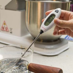 精准探针温度计 带保护套 厨房食品 烘焙测温温度计