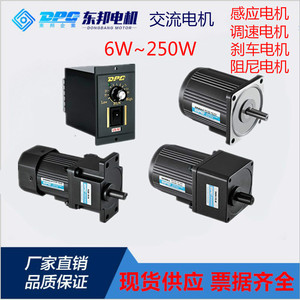 DPG东邦交流电机定速电机微型减速电机6W15W25W40W60W90W正品电机