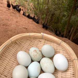 农家散养黑羽乌骨鸡蛋 绿壳土鸡蛋30枚新鲜柴鸡蛋无抗月子笨鸡蛋