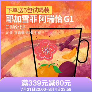 原豆咖啡埃塞俄比亚 耶加雪菲 耶加雪啡 咖啡豆手冲单品冷萃 500g