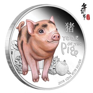 澳大利亚2019已亥生肖猪宝宝纪念币 英联邦贺岁生肖币彩色金银币