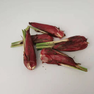 新鲜小红蒜根中药材红葱头百步还阳红血葱 非调料红葱头 包邮