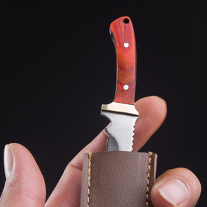 mini小刀微型小直刀收藏刀钥匙刀迷你随身刀具水果刀小刀高硬度