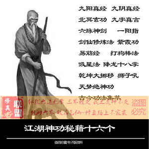 九阳神功九阴真经降龙十八北冥玄功九字真言术紫霞神功武功秘籍