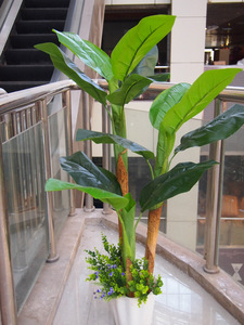 包邮 人造装饰植物大叶观赏1米4芭蕉香蕉树 橱窗摄影设计展厅布置