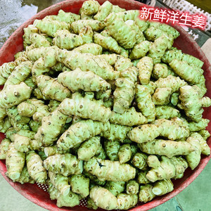 江西鄱阳特产新鲜洋生姜农产品野生阳姜菊芋鬼子姜 1件1斤2件包邮