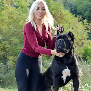 适合女生养的巨型犬图片