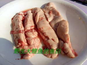 鲤鱼鱼白