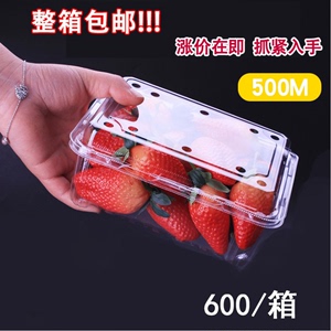 一次性水果盒草莓盒子包装打包塑料透明便当果蔬一斤装带盖高档