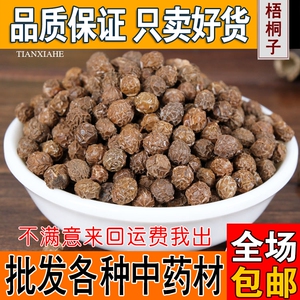 梧桐子梧桐子梧桐籽瓢儿果500g包邮