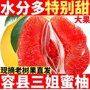 广西容县蜜柚新鲜水果红心柚子现摘当季红肉柚子整箱包邮非沙田柚