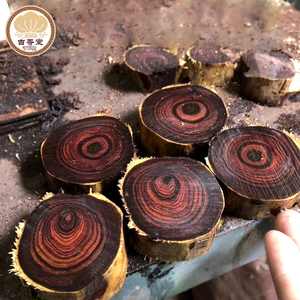 【海黄木料原木黄花梨】海黄木料原木黄花梨品牌,价格 - 阿里巴巴