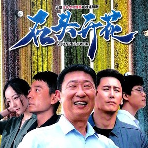 大型农村励志电视剧 石头开花 dvd光盘碟片 林永健 韩雪 于晓光