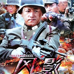 抗日战争电视连续剧 黑狐之风影 张若昀 刘小峰 dvd碟片光盘2碟