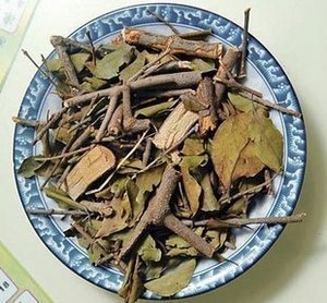 福建野生龙眼寄生 杉树 松树 桂花树 柿子树寄生干品500克