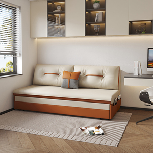 沙发床折叠式两用客厅撞拼色小户型科技布卧室书房2024年新款1米5