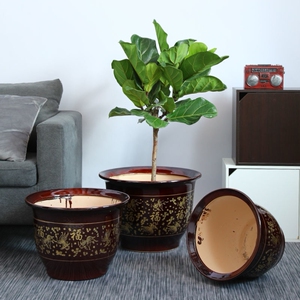 大花盆特大号清仓陶瓷80cm【特价】超大龙缸种树盆景铁树发财树