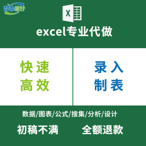 excel表格制作数据处理打字录入WORD文档排版编辑设计PDF转换代做