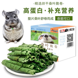 人工摘选新鲜烘干桑叶卷兔子豚鼠龙猫健康零食补充蛋白质营养美毛